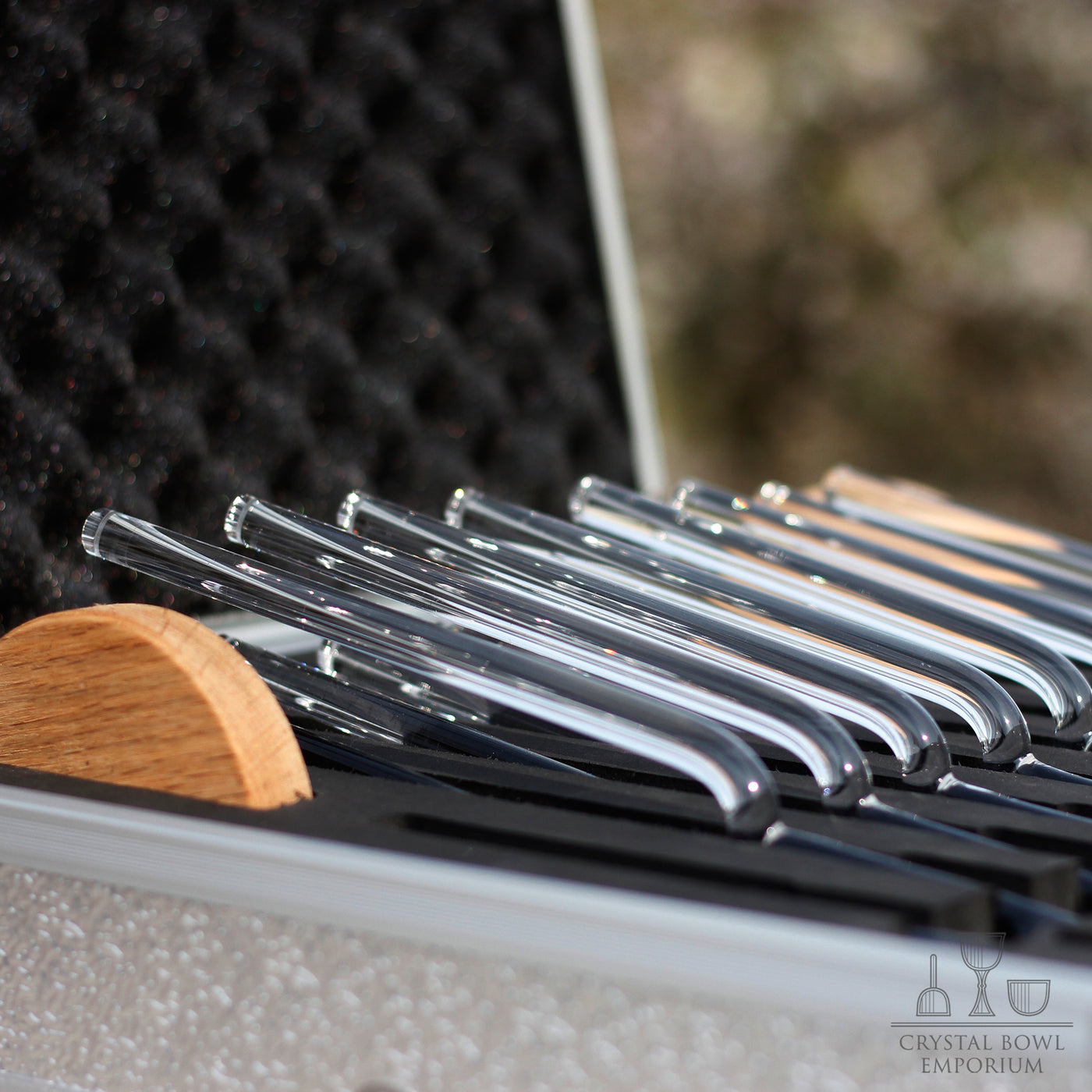 Crystal Tuning Fork Set