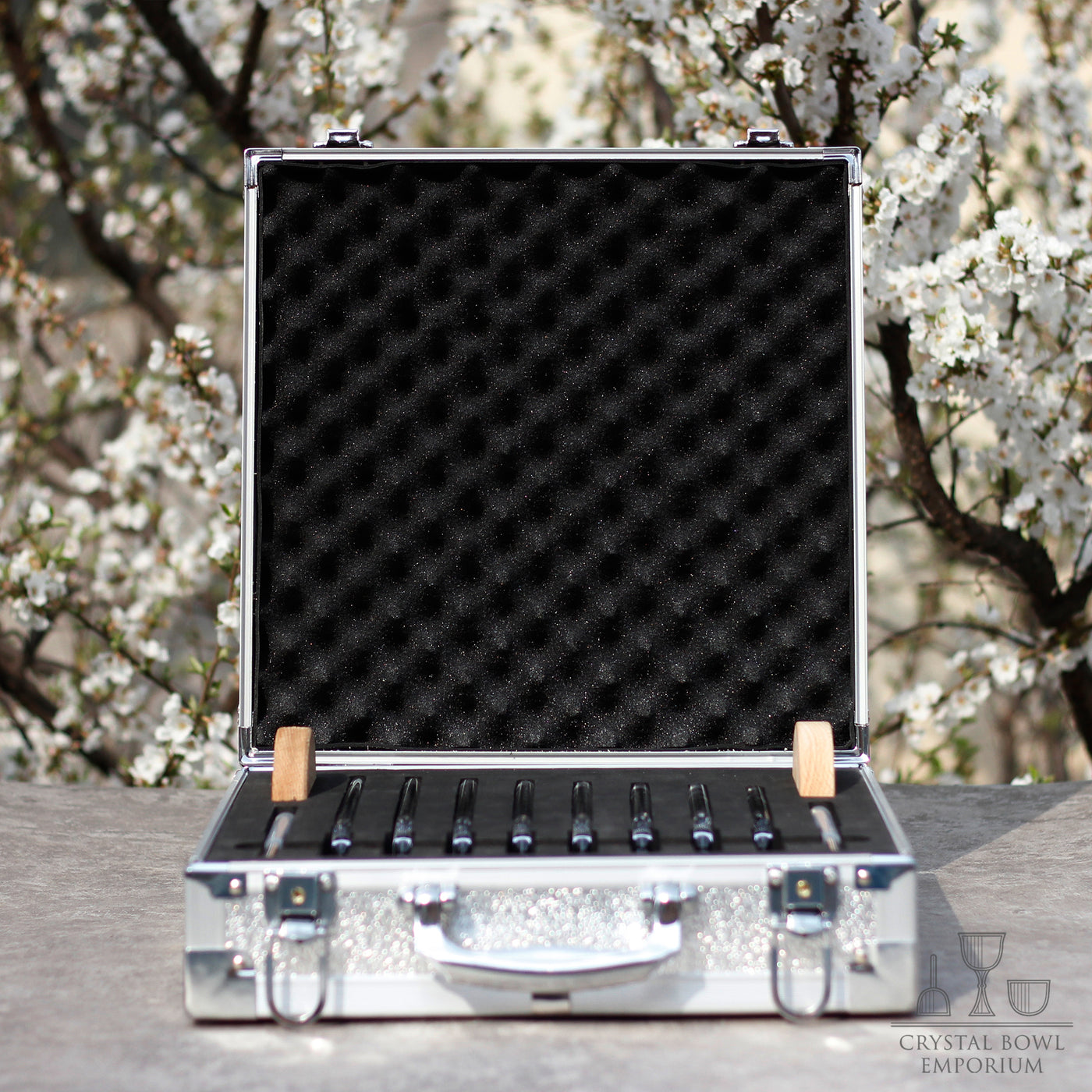 Crystal Tuning Fork Set