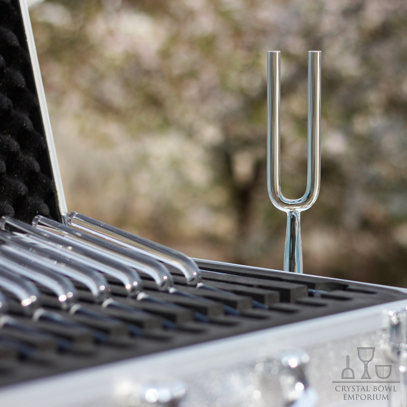 Crystal Tuning Fork Set