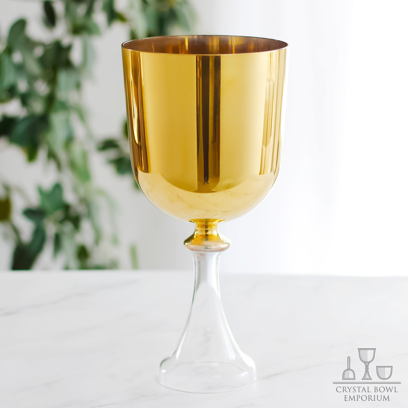 24k Gold Chalice